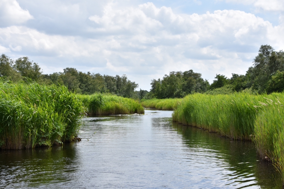 Botshol - Weer en landschap - 