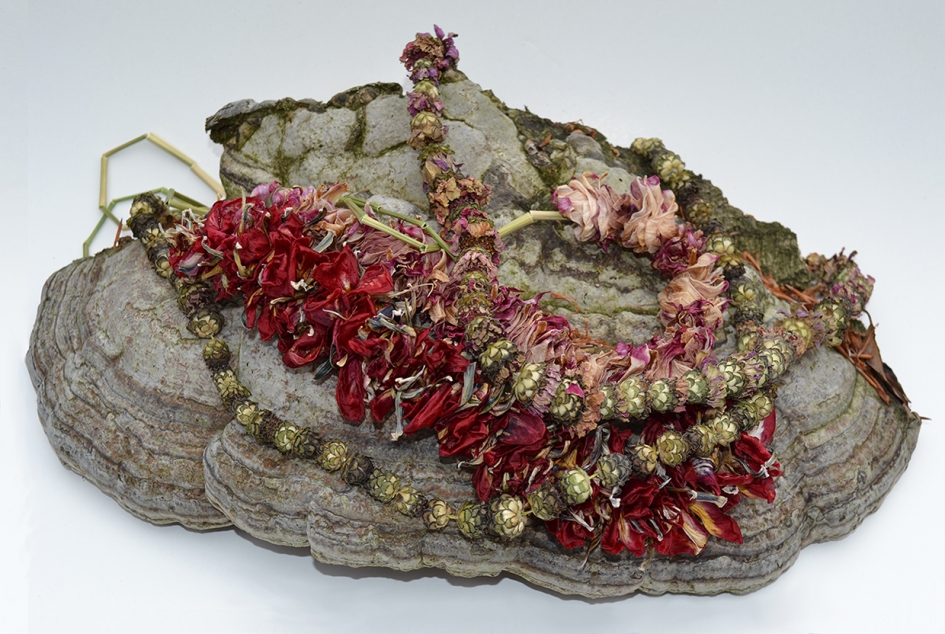 Flowers of the field - Planten - 