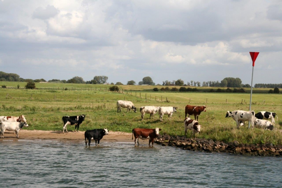 Lekker fris.. - Zoogdieren - 