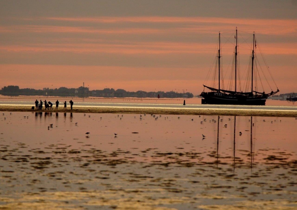 late vogels - Weer en landschap - Wadlopers