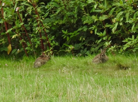 Samen met zijn tweetjes.