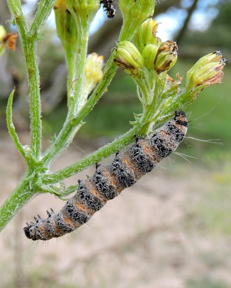 Tijd voor een nieuwe Look