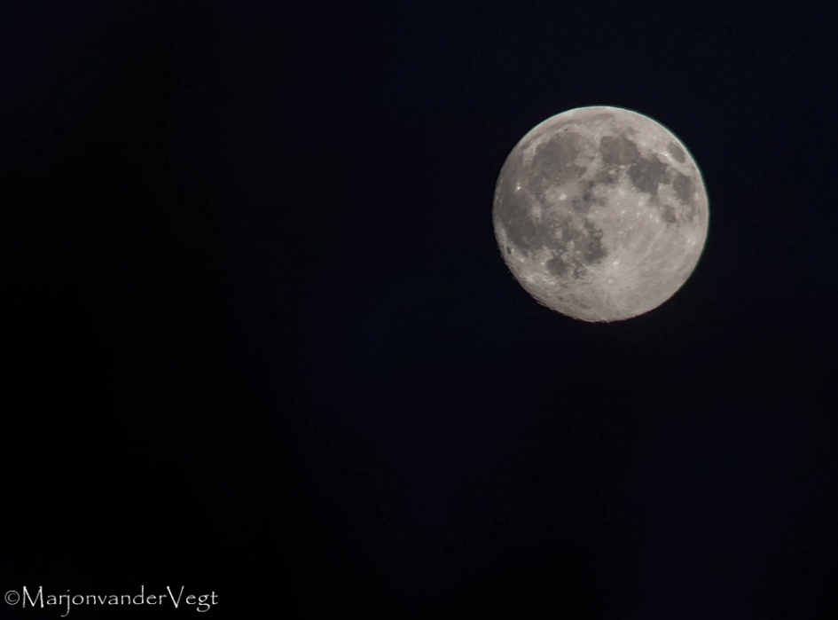 Vampire night - Weer en landschap - Volle maan