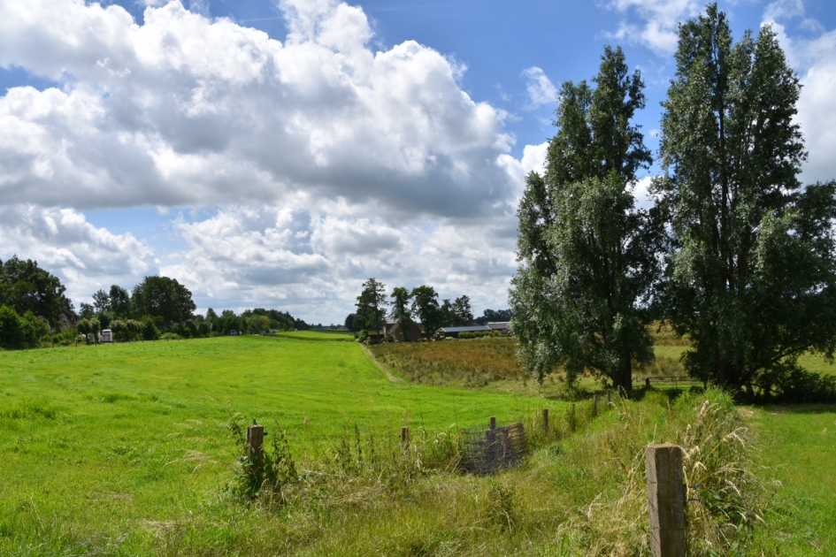 Vanaf de dijk bij de Botshol - Weer en landschap - 