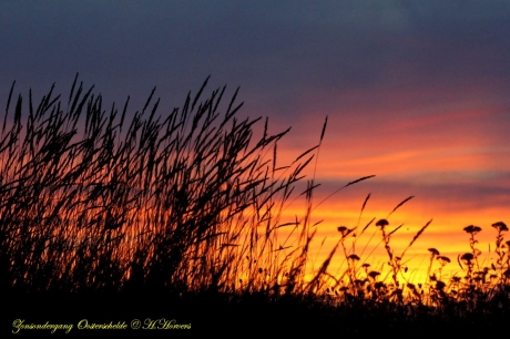 Zonsondergang Oosterschelde