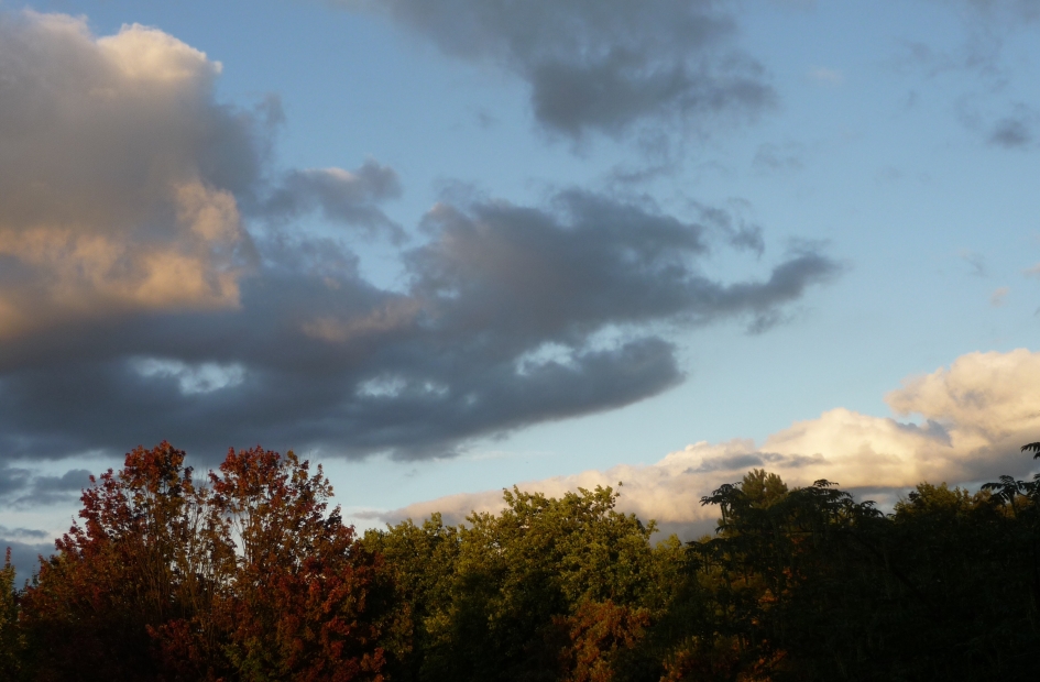 20:15 uur - Weer en landschap - 