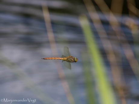 En de tijd staat stil