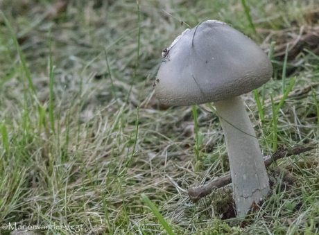 De herfst haalt ons in