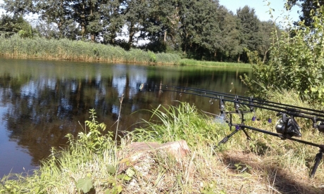 Grote hengels, kleine visser