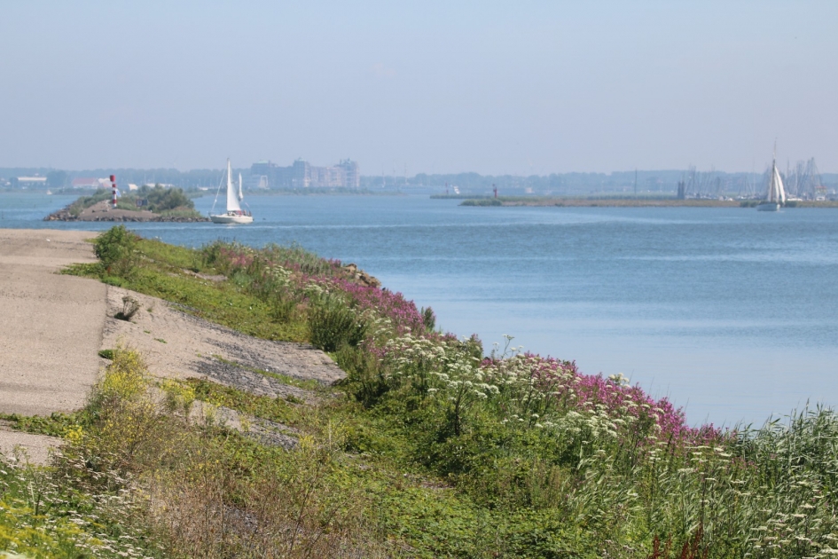 Haven  met veel bloemen langs het water - Weer en landschap - 