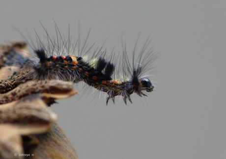 Kijk, met losse handen!