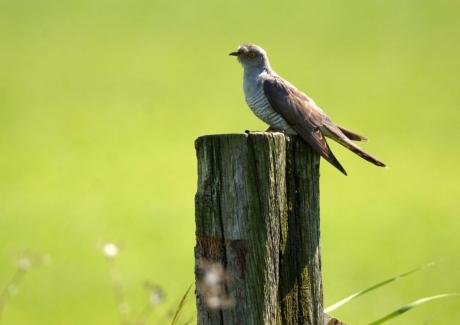 Langs de kant van de weg