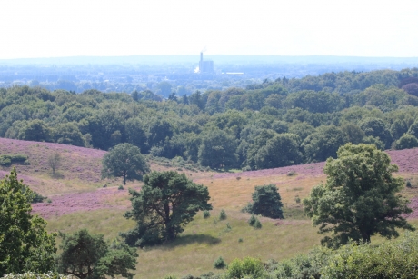 Nationaal Park Veluwezoom