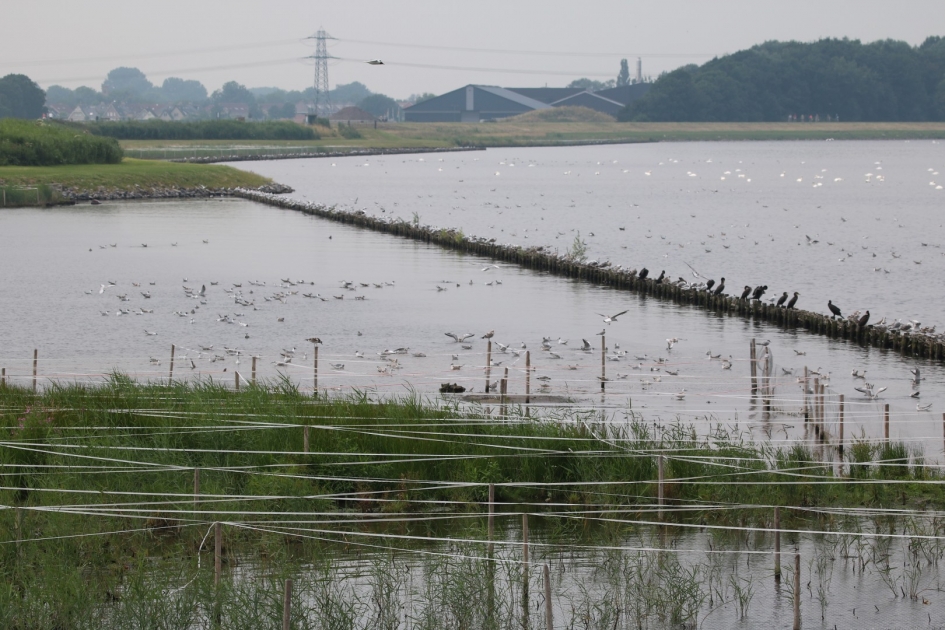 Nieuwe natuuraanleg - Weer en landschap - 