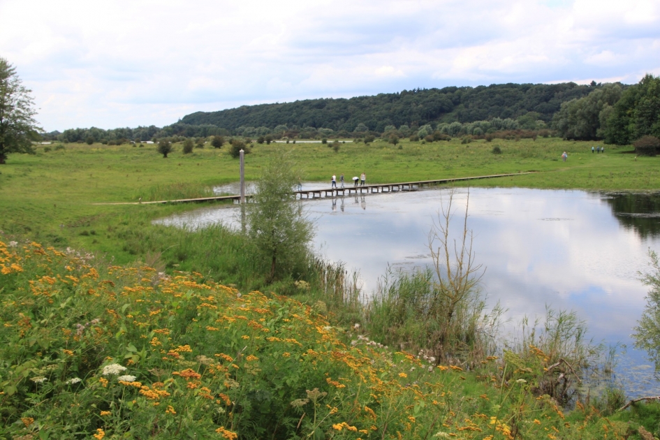 Overzicht Blauwe Kamer - Weer en landschap - 