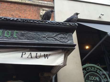 pauw????