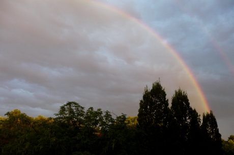 Regenboog rechts