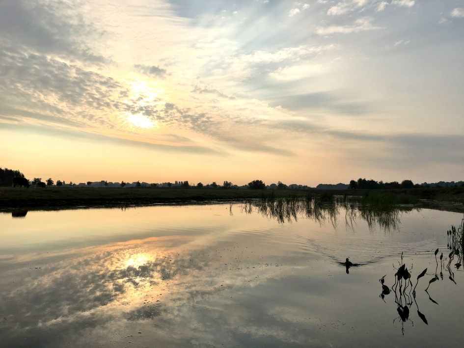 zonsopkomst - Weer en landschap - 