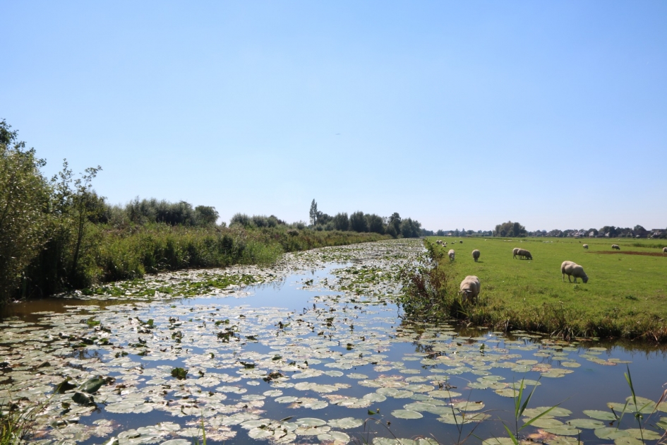 Brede sloten - Weer en landschap - 