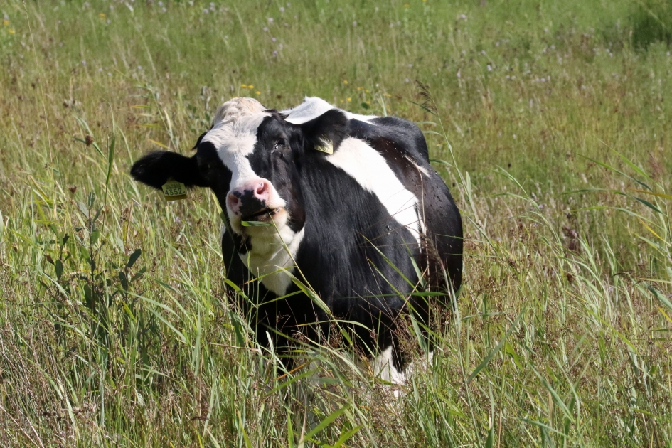 Echt waar? - Zoogdieren - 