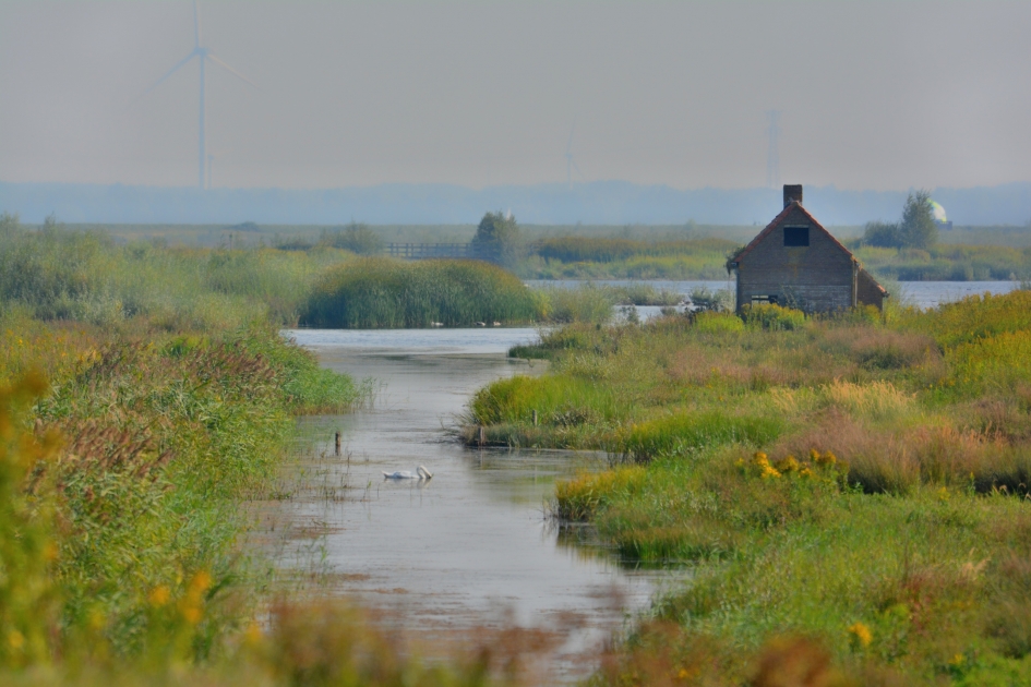 een stukje rust - Weer en landschap - tiengemeten
