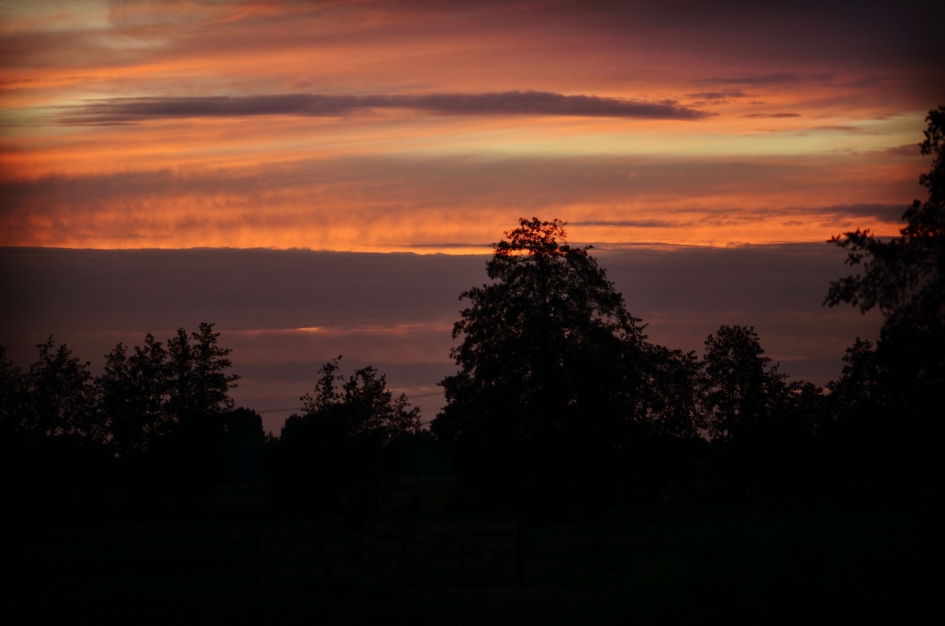 Gisterenavond 20.30 in de Krimpenerwaard - Weer en landschap - 