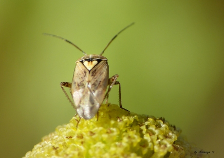 Ik draag je een warm hart toe