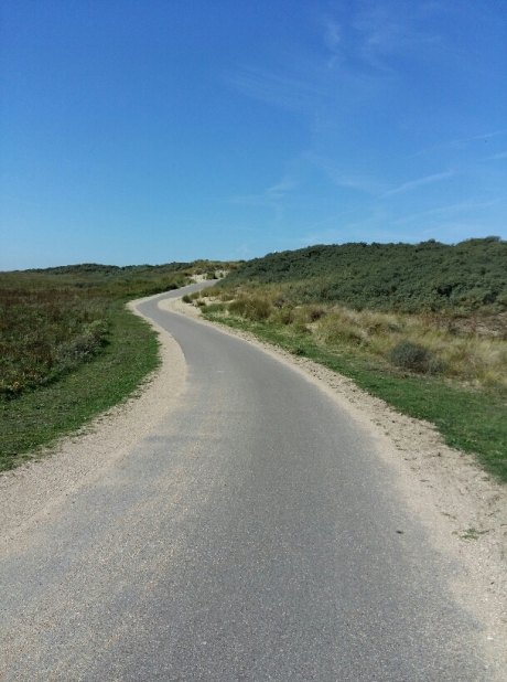 Duinpad! Een pad dat ieder mag zien♡