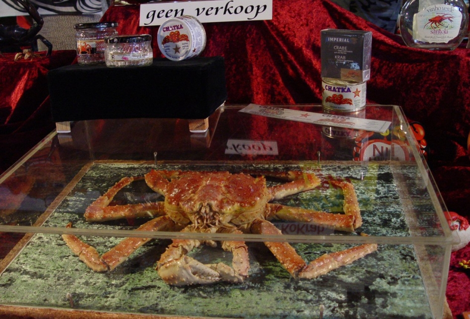 King Crab - Geleedpotigen - Koningskrab