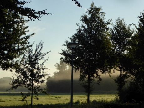 Mist in de morgen
