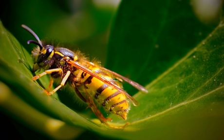 Onbemind maakt. ( niet  altijd) onbekend