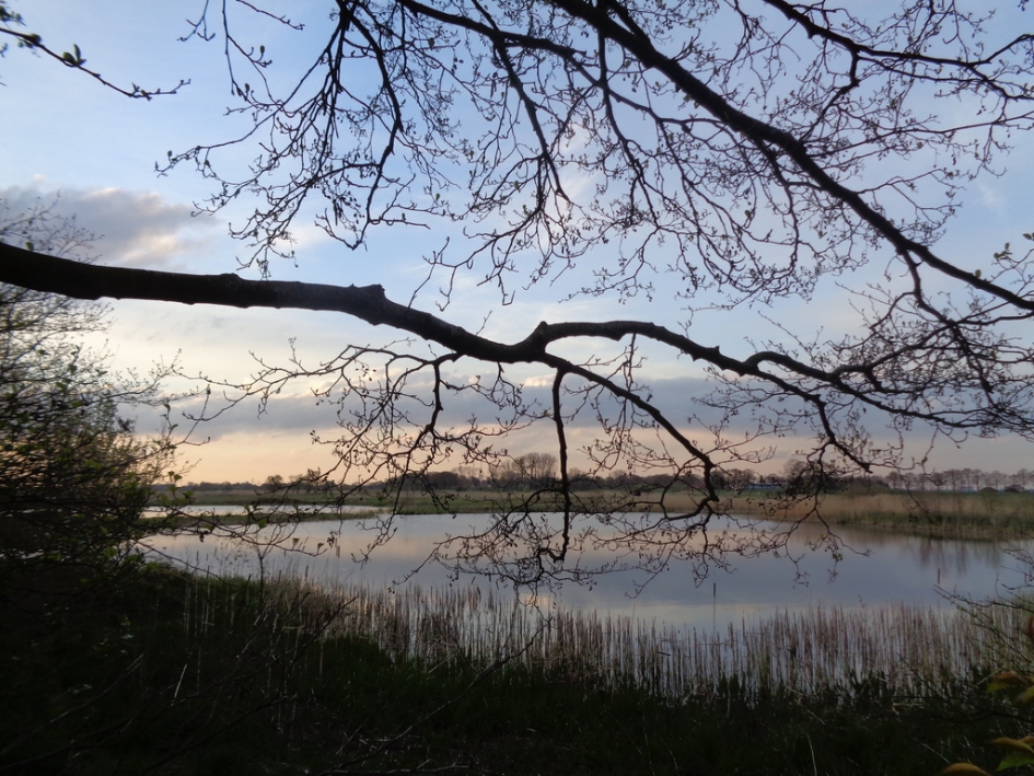 paradijs gevonden - Weer en landschap - 
