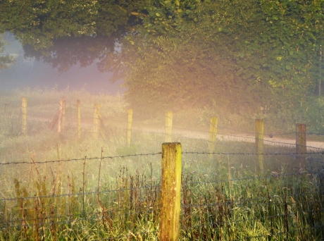 regenboogkleuren in de mist