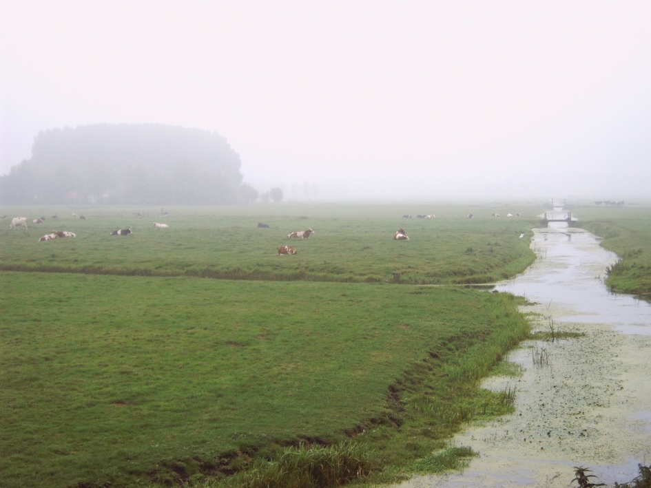 veenweide landschap met watergang - Weer en landschap - 
