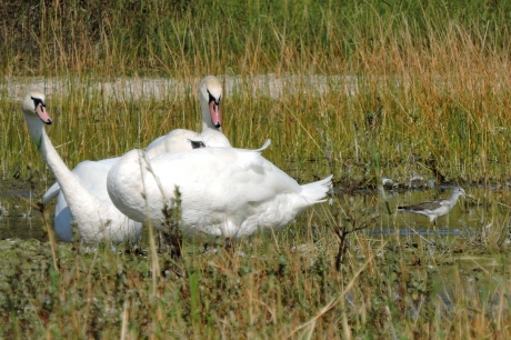 Wat doet die kleine hier?!