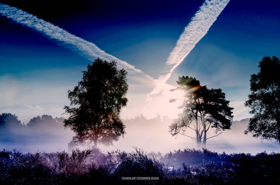 x marks the spot - Weer en landschap - 