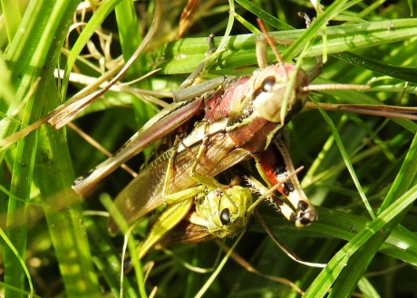 Ze zijn er ondersteboven van.
