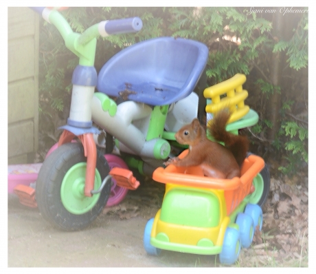 Zoeken naar drinken.