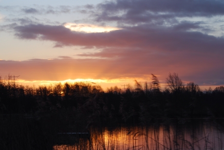Zonsopkomst Krimpenerhout