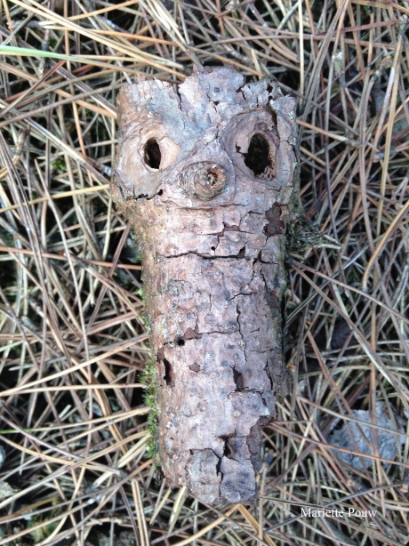 Blij gezicht in boomschors