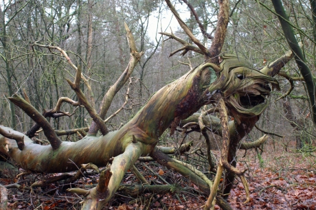 de draak van Luttenberg