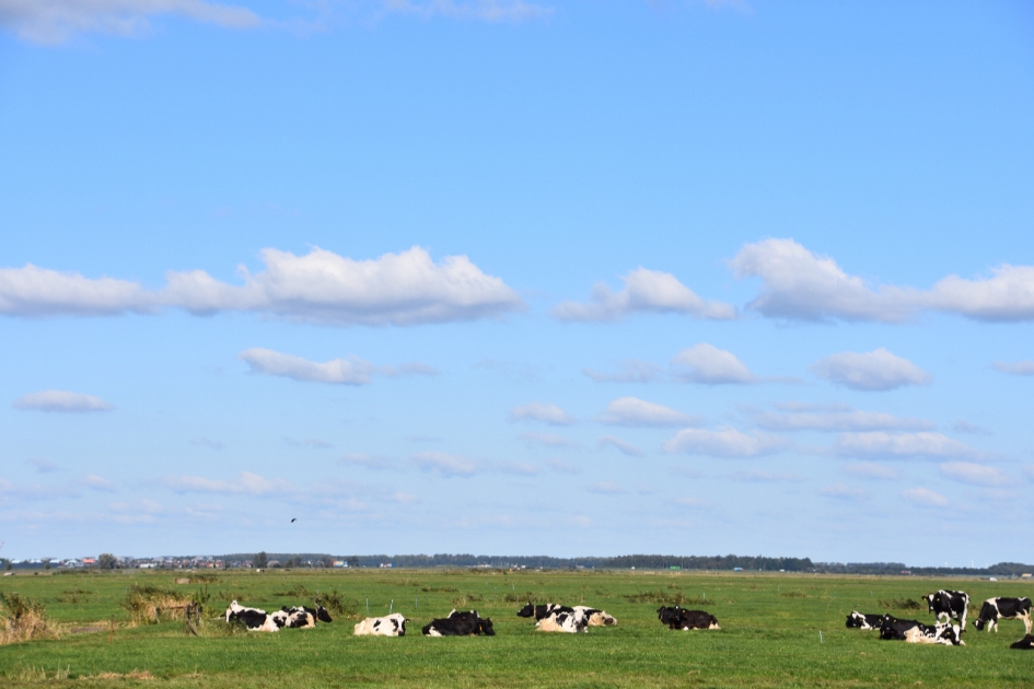 Eemland - Weer en landschap - 