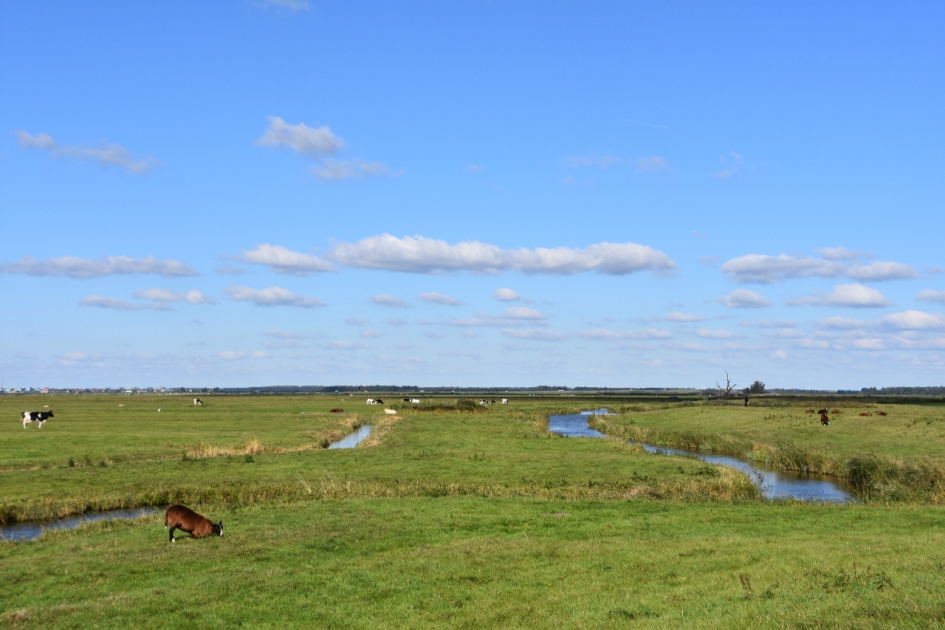 Eemlandpolder - Weer en landschap - 