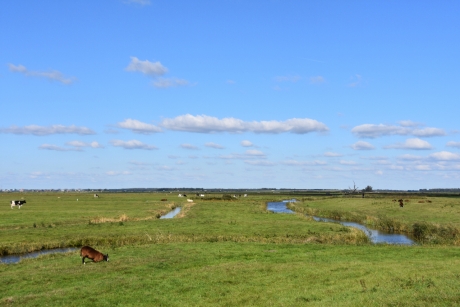 Eemlandpolder