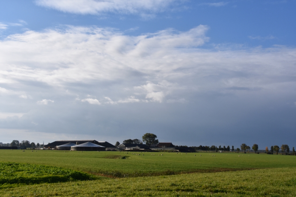 Friese weilanden - Weer en landschap - 