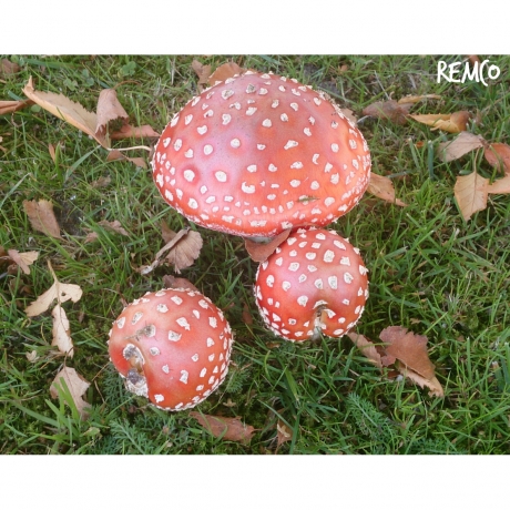 Herfst