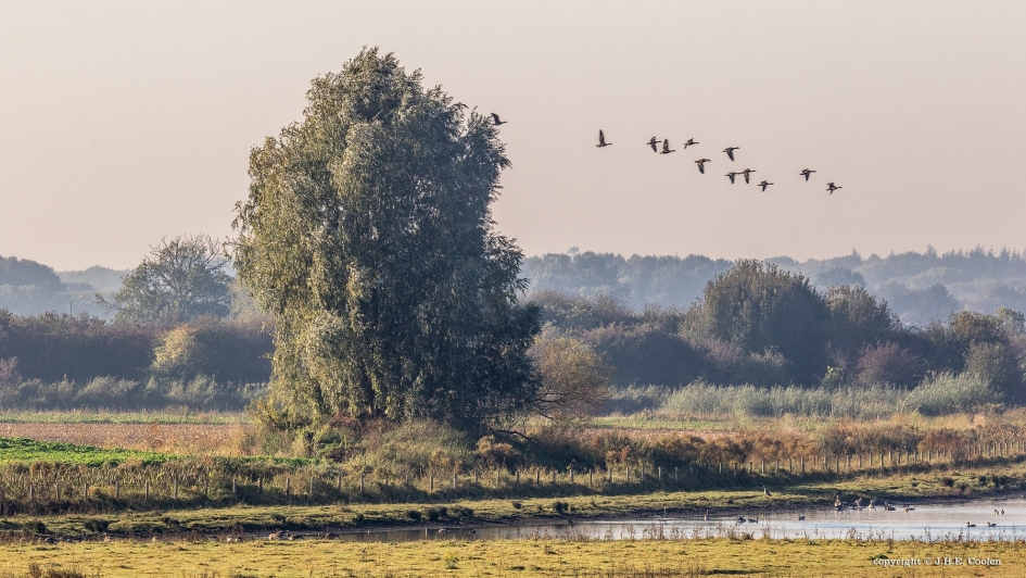 Hier... - Weer en landschap - 