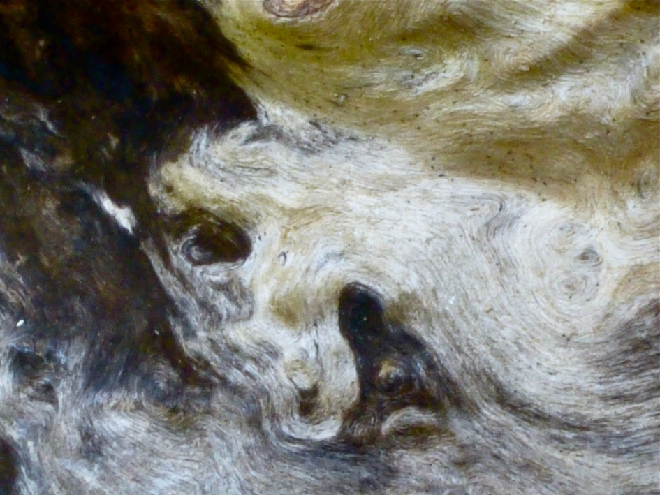 Hout - Schimmels - 