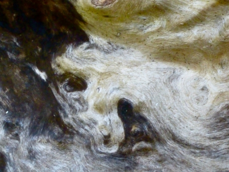 Hout