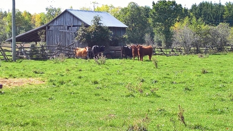Kijken, kijken en niet wijken